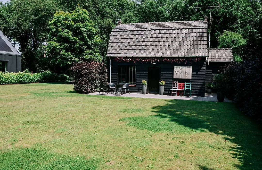 Bosserheide-1